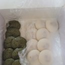 구미기정떡