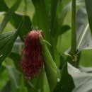 학산농장 이미지