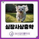 365열린온약국 네이버블로그