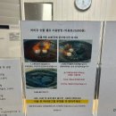 나드리마트 | 경주나드리총총(feat.캠프파이브⛺️)