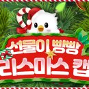 라이브스칼렛 이미지