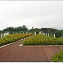 메이즈랜드 이미지