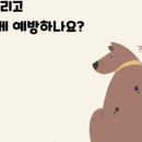 아이숲동물병원 이미지