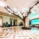 소노캄 고양 이미지