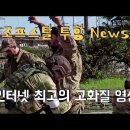 폴란드, 발틱 3국에서 급성장한 나치세력 들/아조프스탈 수비군 끝내 백기들고 항복했다 (펌) 이미지