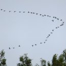 장산마을회관 내 이미지