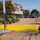 옐로카펫 이미지