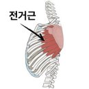 빽짐헬스 이미지