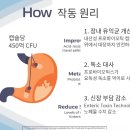 정왕동 애견용품 창고형 할인매장(비제이코리아) | [파격세일] 레나딜 합리적인 가격에 구매 가능합니다! / 레나딜 해외 직배송!