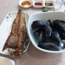거제시집 이미지