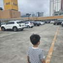 성화일렉트릭 | (일상) 닌텐도 스위치&마리오파티 잼버리 구매