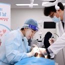 성분도치과의원 이투데이