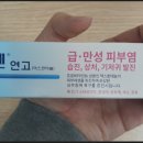 스타동물약국 티스토리