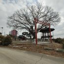 한명윤,밀양박씨충열각 이미지