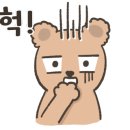 지오살롱