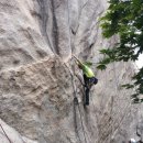 비둘기길 이미지