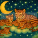 달빛동물병원 이미지