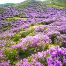 세명여행사