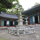 대법사 Daum카페