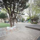 다모아 어린이공원 이미지