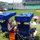 도그데이 이미지