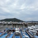 0928 녹동항 이미지