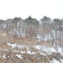 빨간산농장 이미지