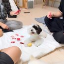 포레스트 명례 이미지