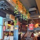 마초셰프 이미지