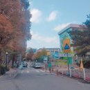 사파동192 이미지