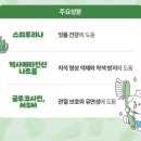 핫펫