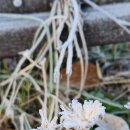 돌실공원 이미지