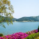 화진포 역사안보전시관 이미지