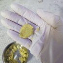 3349 | D+3,357 강아지연부조직육종 경구항암 4주차 팔라디아 토세라닙 복용후기