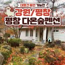 평창 다온숲 | [강원/평창] 평창 애견동반펜션 '평창다온숲펜션' 🏡#대형견동반가능 #바베큐