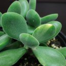 상학농장 이미지