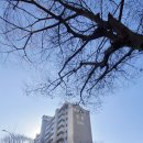 동성아파트 이미지