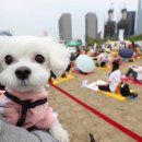 마더스동물병원 이미지