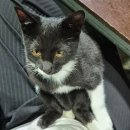 구암동657 | 시아버님 환갑과 먹방으로 가득 찬 10월 부부 일상