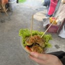 정글마켓