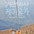 가리왕산가는길 | 강원도 정선 가볼만한곳 가리왕산 케이블카 할인 정상 소요시간