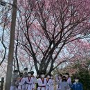 하당비룡태권도장 이미지