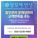 탈모야안녕 이미지