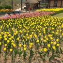 자연생태공원 부천식물원 이미지