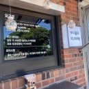 제주허브동산 | 서귀포 표선 가볼 만한 곳 제주투어패스로 방문한 제주허브동산