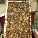 에덴농장 이미지