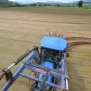 대식농장 이미지