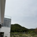 아뜰리에라벤더 | 경남양산 5월 가볼만한 곳: 라벤더 축제가 열리는 느티나무사랑 카페 & 아뜰리에 올모 레스토랑 후기