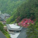삼향-2 이미지