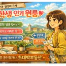 초대박공인중개사사무소 이미지